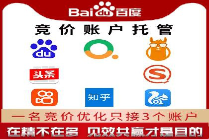 SEM服务公司经典案例集锦